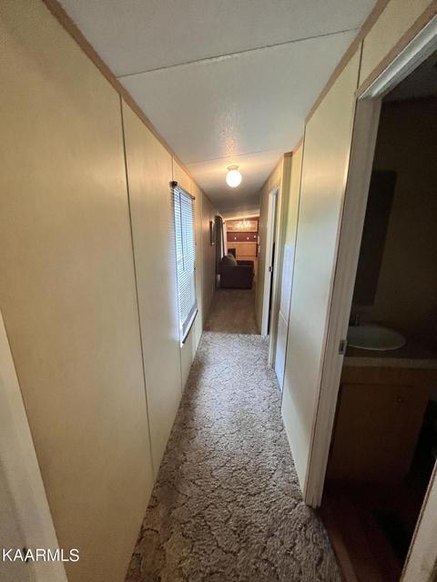 497 Wallace Rd, Luttrell, TN 37779 photo 29