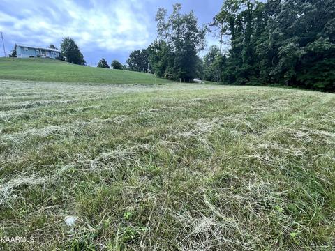 497 Wallace Rd, Luttrell, TN 37779 photo 8