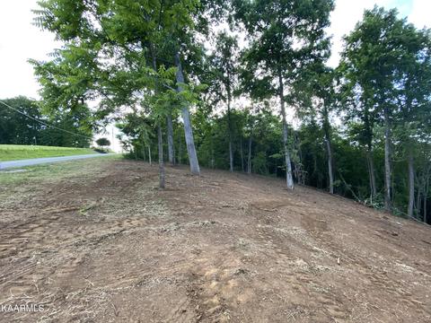 654 Hickory Pointe Ln, Maynardville, TN 37807
