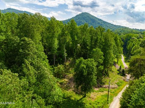 711 Bear Hollow Way, Sevierville, TN 37876