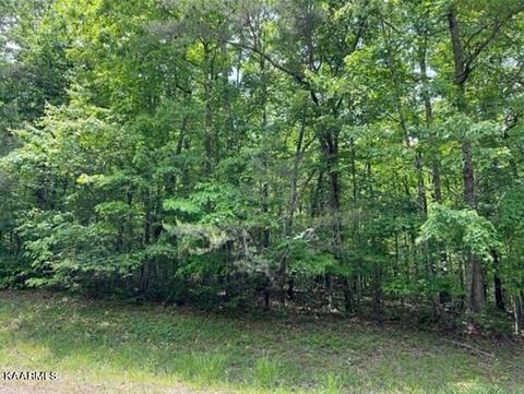 Chinkapin, Monterey, TN 38574