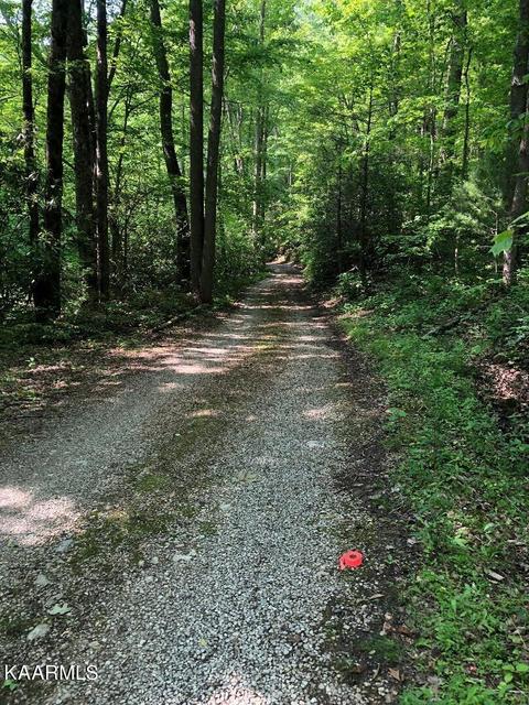Carrs Creek Rd, Townsend, TN 37882
