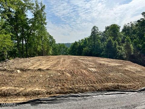 645 Joppa Mountain Rd, Rutledge, TN 37861 photo 2