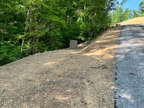 645 Joppa Mountain Rd, Rutledge, TN 37861 photo 4