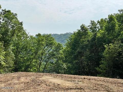 645 Joppa Mountain Rd, Rutledge, TN 37861