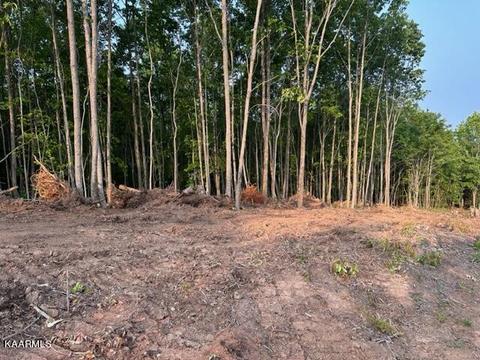 Klondike Rd, Duffield, VA 24244 photo 15
