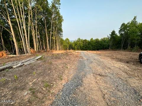 Klondike Rd, Duffield, VA 24244 photo 12