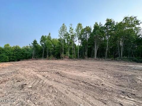 Klondike Rd, Duffield, VA 24244 photo 17