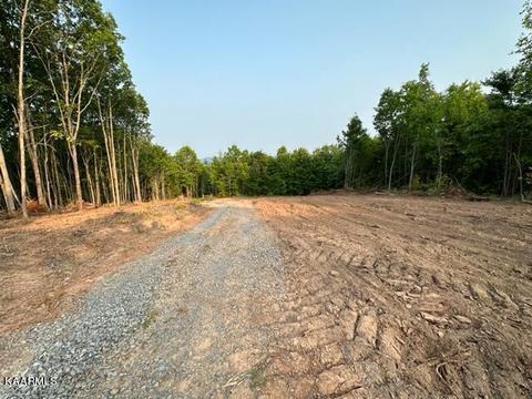 Klondike Rd, Duffield, VA 24244 photo 13