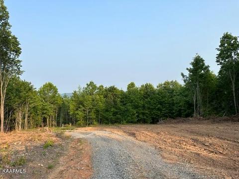 Klondike Rd, Duffield, VA 24244 photo 16
