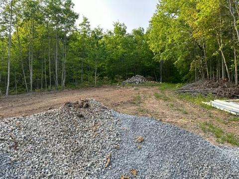 Klondike Rd, Duffield, VA 24244 photo 11
