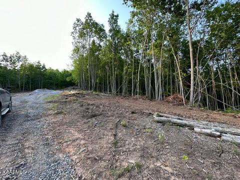 Klondike Rd, Duffield, VA 24244 photo 14