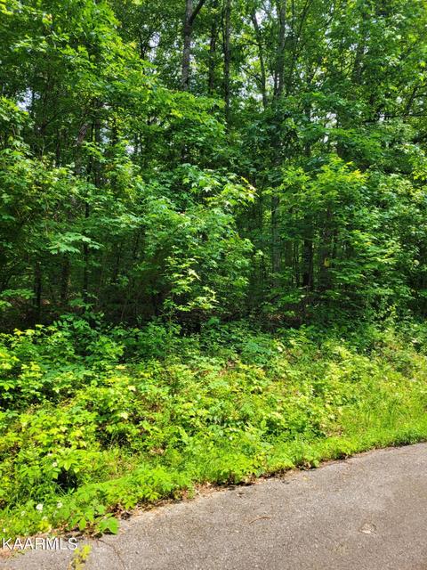 Ford Road, Lenoir City, TN 37772