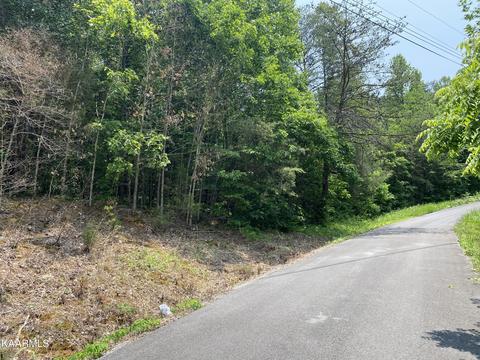 East Drive Drive, Parrottsville, TN 37843