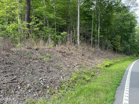 S Hwy 32, Cosby, TN 37722