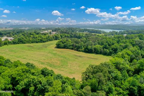 Lakeview Lane, Vonore, TN 37885