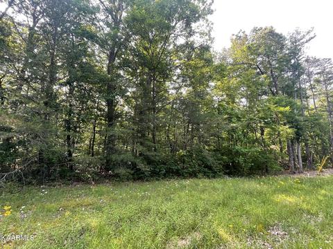 Sawmill Rd, Monterey, TN 38574