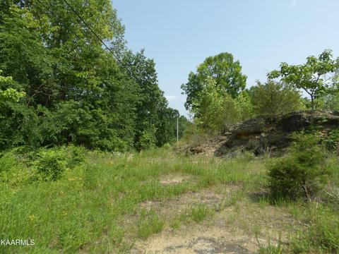 5 Ac Livingston Hwy Loop, Celina, TN 38551