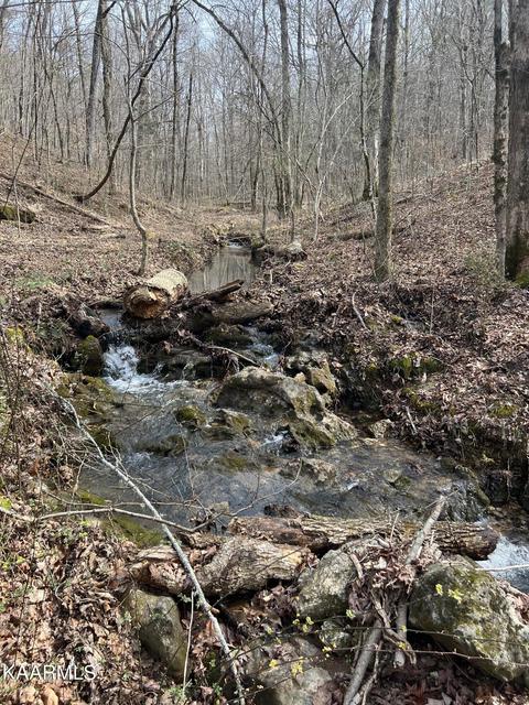 Old Holderford Rd, Kingston, TN 37763