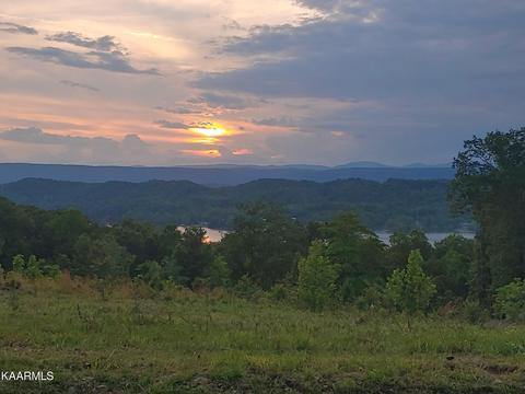 2 6 Acres Spruce Dr, Spring City, TN 37381