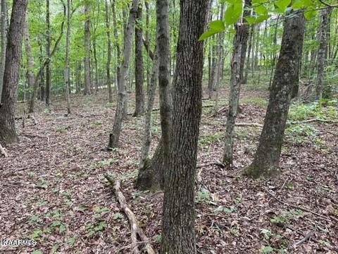 Nickey Drive, Harriman, TN 37748