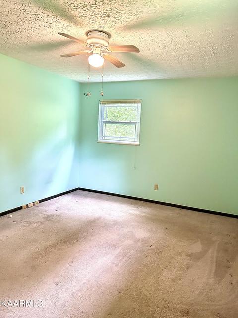 110 Maple Ln, Powell, TN 37849 photo 25