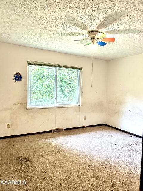 110 Maple Ln, Powell, TN 37849 photo 18