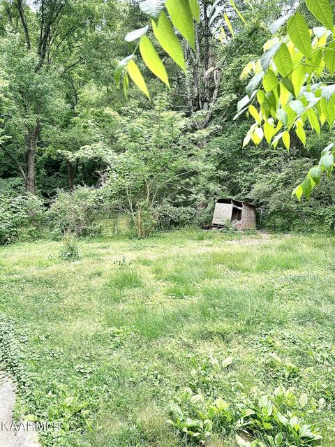 110 Maple Ln, Powell, TN 37849 photo 39