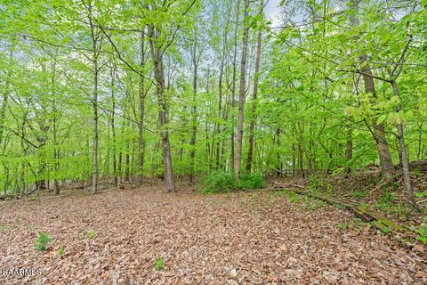 11322 Berry Hill Dr, Knoxville, TN 37931