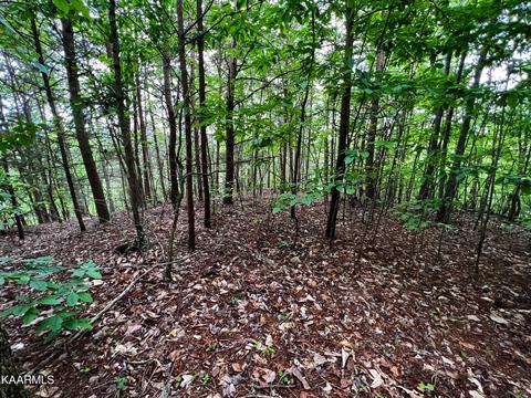236 Whistle Valley Road, New Tazewell, TN 37825
