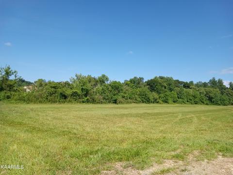 Cold Springs Rd, Walland, TN 37886