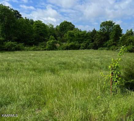Blue Springs Pkwy, Mosheim, TN 37818