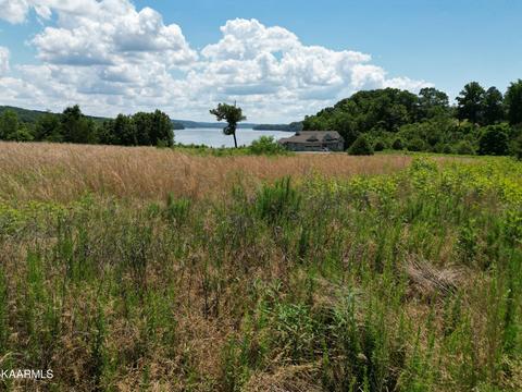 11 Docks Of The Bay Drive, Harriman, TN 37748