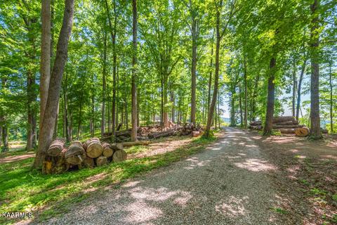 359 Clear Branch Rd, Rocky Top, TN 37769