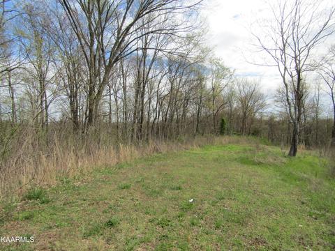 478 Haydenbury Rd, Whitleyville, TN 38588