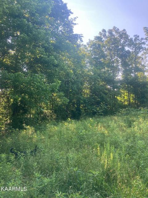 282 Lone Mountain Rd, Andersonville, TN 37705