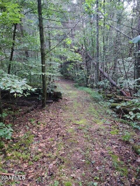 145 Westwing Cave Rd, Townsend, TN 37882