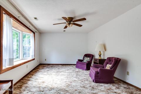 7409 Ridgeview Rd, Corryton, TN 37721 photo 8