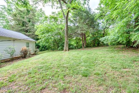 7409 Ridgeview Rd, Corryton, TN 37721 photo 30