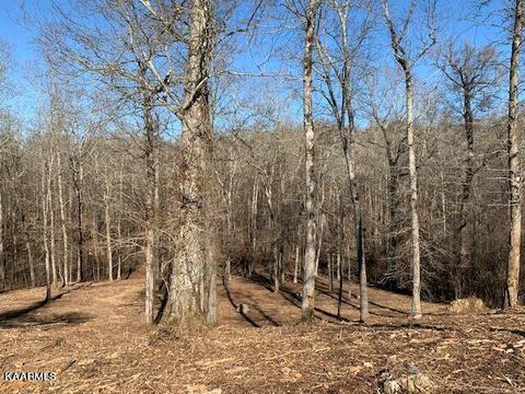 Thief Neck View Drive, Rockwood, TN 37854