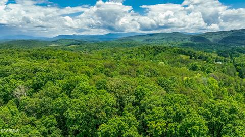 000 Harris Branch Rd, Madisonville, TN 37354