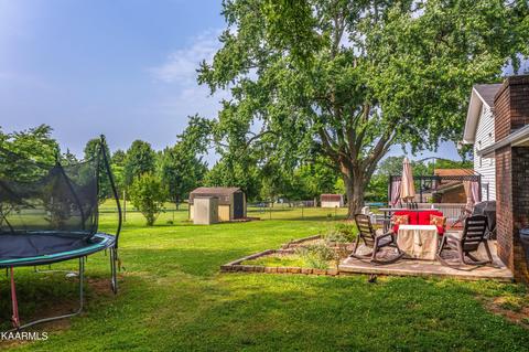 7049 Rebecca Ln, Talbott, TN 37877 photo 22