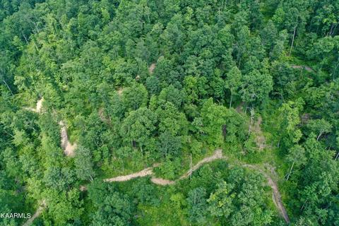 Mill Creek Rd, Sunbright, TN 37872