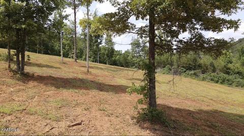 Lot 2 6 Mile Rd, Maryville, TN 37803