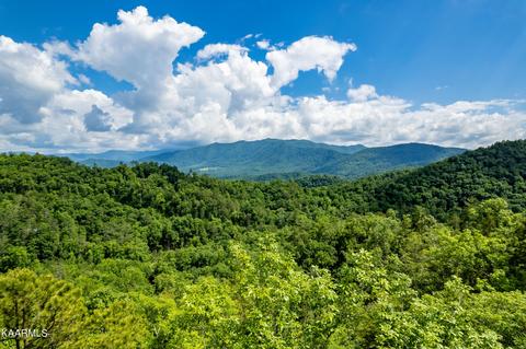 452 454 Mt John Loop Rd, Townsend, TN 37882
