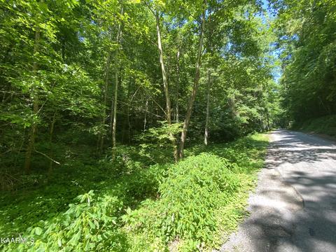 Mcnerling Lane, Sharps Chapel, TN 37866