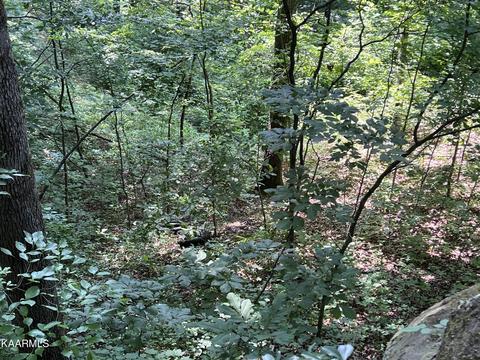 1475 Doe And Fown Ln, Crawford, TN 38554