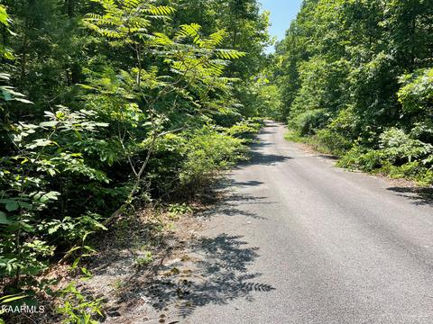 Magnolia Court, Wilder, TN 38589