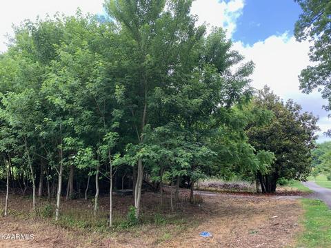 132 Dunaway Rd, New Tazewell, TN 37825
