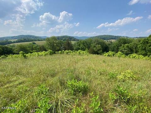 5303 Mulberry Gap Rd, Sneedville, TN 37869